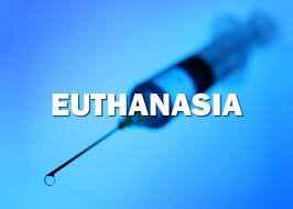 Structuring of an argumentative essay on euthanasia