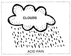 Free acid rain research paper