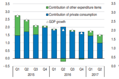 The contribution of private consumption on economic growth